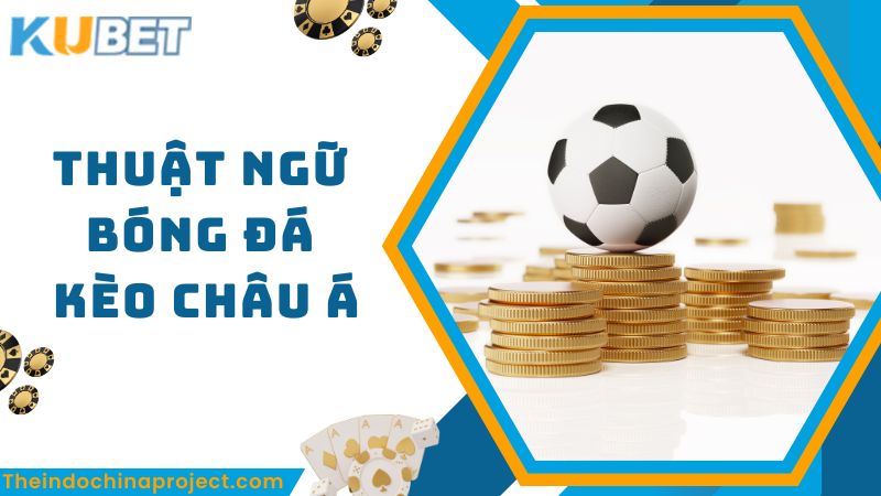 Các Thuật Ngữ Cá Cược Bóng Đá Cơ Bản Nhất Dành Cho Tân Thủ